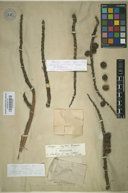LE 01012418