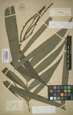LE 01012420