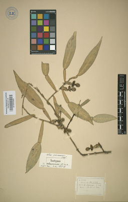 LE 01012421
