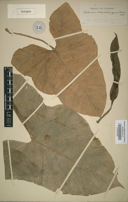 LE 01012423