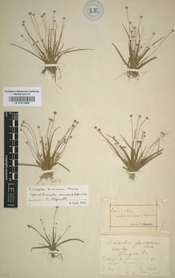LE 01012459