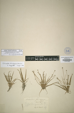 LE 01012460