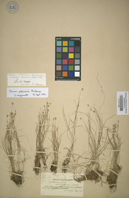 LE 01012480