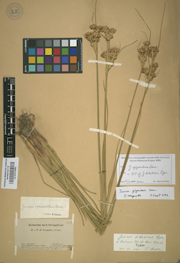 LE 01012482