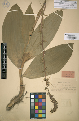 LE 01012497