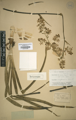 LE 01012498