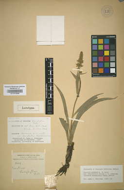 LE 01012506