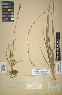 LE 01012514