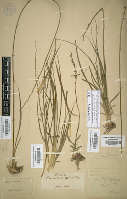 LE 01012516
