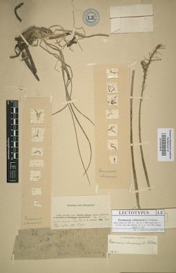 LE 01012518