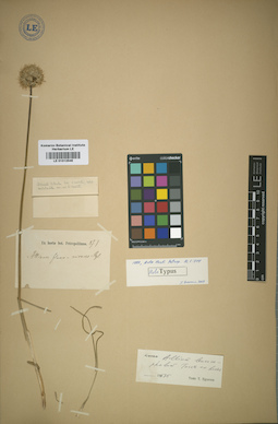 LE 01012546