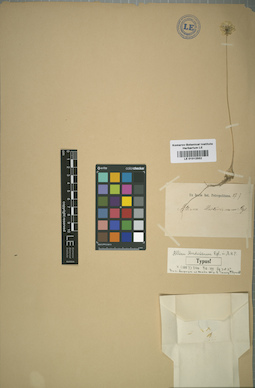 LE 01012552