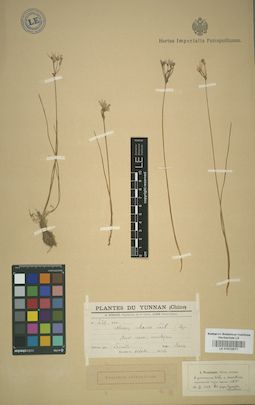 LE 01012571