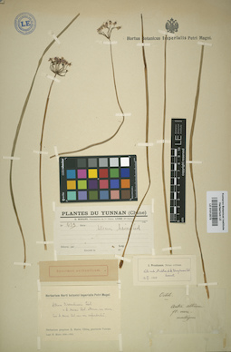 LE 01012573