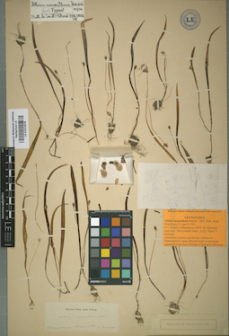 LE 01012578