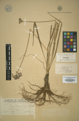 LE 01012610