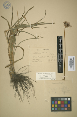LE 01012619