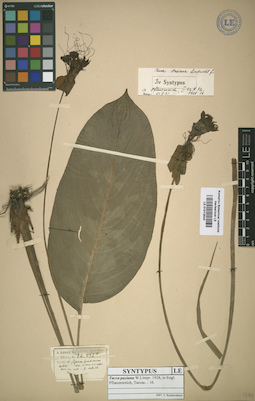 LE 01012643