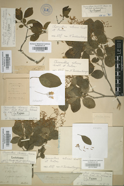 LE 01012803