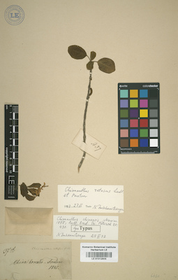 LE 01012806