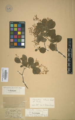 LE 01012808