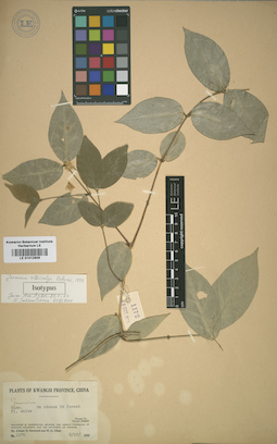 LE 01012809