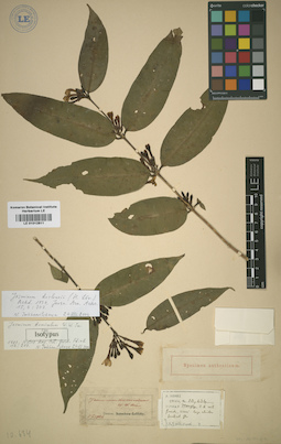 LE 01012811
