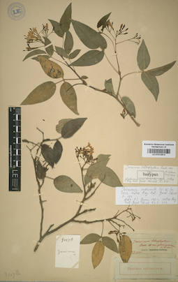 LE 01012814
