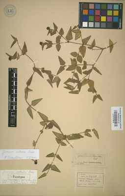 LE 01012818