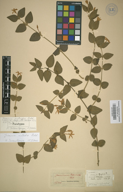 LE 01012819