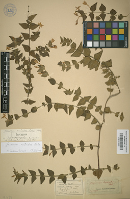 LE 01012820