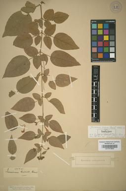 LE 01012822