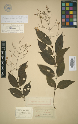 LE 01012823