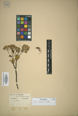 LE 01012824