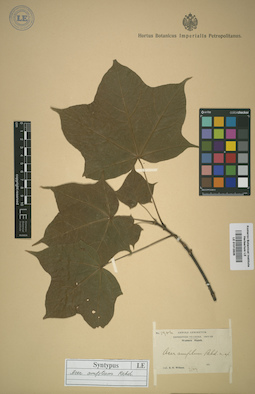 LE 01012826
