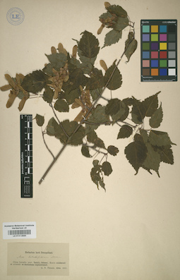 LE 01012834