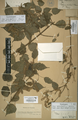 LE 01012836