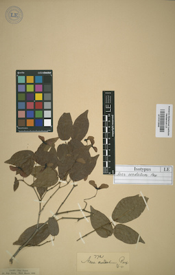LE 01012846