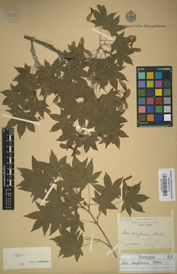 LE 01012847