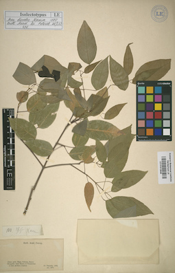LE 01012848
