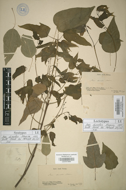 LE 01012850