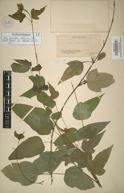 LE 01012851
