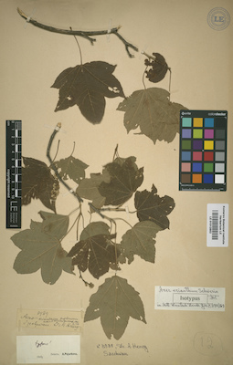 LE 01012852