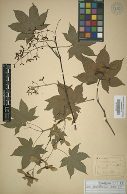 LE 01012853