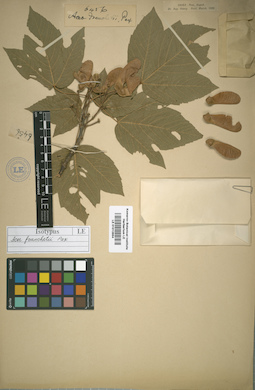 LE 01012854