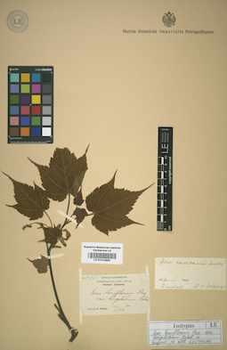 LE 01012856