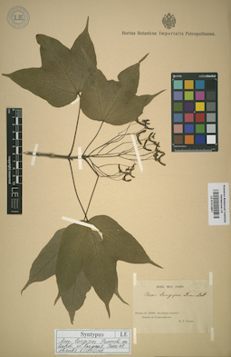 LE 01012857