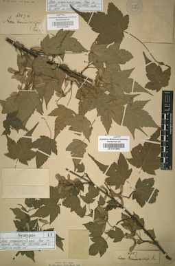 LE 01012862