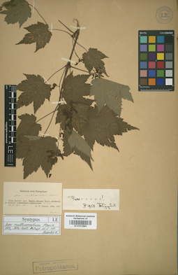 LE 01012863