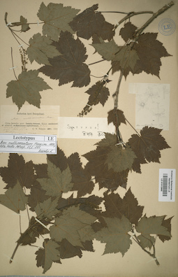 LE 01012865